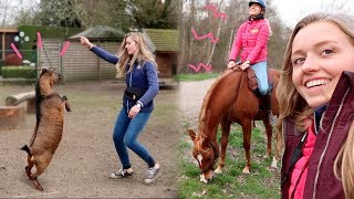 Feline rijdt mijn paarden en vrijheidsdressuur met GEIT en KIP  Weekvlog 161 [upl. by Ibby235]