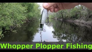 Suwannee river bass fishing Whopper Plopper [upl. by Terrill]