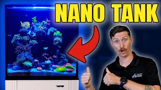 STUNNING Nano Reef Tour  Innovative Marine Nuvo 15 Showcase [upl. by Romito]