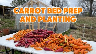 How I Plant and Grow Outstanding Carrots [upl. by Roselle212]