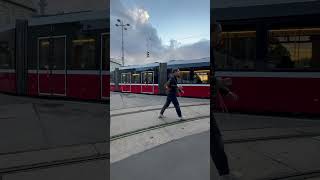 Discover The Stunning Beauty Of Tram 60 Arriving At Hietzing Station In Vienna Austria 🚋✨ [upl. by Annauqal]