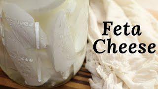 How to make Feta Cheese [upl. by Rosemonde]