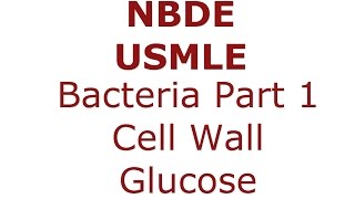 Bacteria Gram  vs Gram  Cell Wall  Glucose Metabolism NBDE amp USMLE [upl. by Leoine]