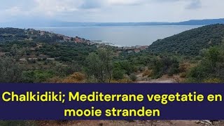 Griekenland  Chalkidiki Mediterrane vegetatie en mooie stranden [upl. by Iruy]