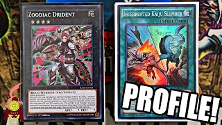 YUGIOH BEST ZOODIAC KAIJU DECK PROFILE 2 CARD OTK COMBO EXPLAINED Post Raging Tempest 2017 [upl. by Edrick815]