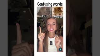 Confusing words vocabulary english bird [upl. by Jansson348]