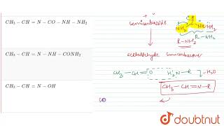 The molecular formula of acetaldehyde semicarbazone is  CLASS 11  CARBONYL COMPOUNDS  CHEMIS [upl. by Cowen]