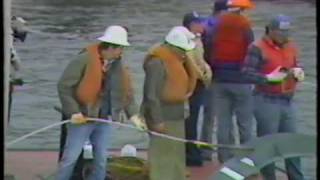 PACIFIC NORTHWEST BELL LAKE WASHINGTON WORLDS FIRST SUBMARINE FIBER OPTIC LAY 30SEP81 [upl. by Etnomal608]