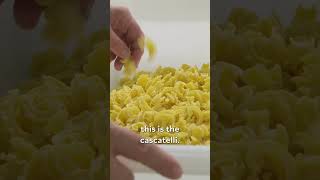 How a New Shape of Pasta is Made shorts [upl. by Dlorah512]