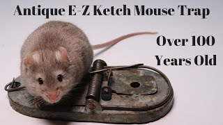 Antique EZ Ketch Mouse Trap  Over 100 Years Old [upl. by Kallman]