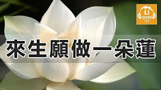 來生願做一朵蓮  魏新雨 （DJ何鵬） [upl. by Zoeller]