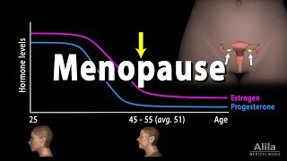 Menopause Perimenopause Symptoms and Management Animation [upl. by Acinimod]