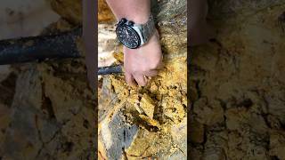 Woww Crazy😱😱‼️we got 1100 in one pan golddiscovery goldprospecting goldtreasure [upl. by Ihtac]