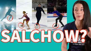 The Great Salchow Controversy Alternate Jump Entrance [upl. by Maximo646]