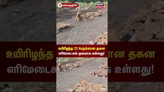 உயிரிழந்த 22 பேருக்கான தகன எரிமேடைகள் தயாராக உள்ளது  Kallakurichi  Illegal Liquor  Kallasarayam [upl. by Yrro100]