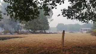 Incendie en Gironde  dans lest de Béliet un entrepôt a brûlé à deux pas des habitations [upl. by Vijar356]