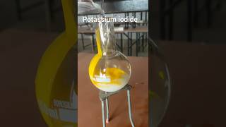 Lead nitrate reaction with kl chemistry ytshorts viralvideo trending organicchemistry [upl. by Vanny]