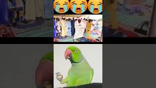 😭😭😭Attack on imam astaghfar😭☝🏻😵ll ytshorts shorts youtubeshorts viral moosatvinfoyoutube [upl. by Aernda]