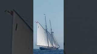 BlueNose peggyscove [upl. by Annawoj572]