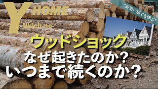 【速報】ウッドショック・木材不足の本当の原因｜いつまで続くのか？｜家を建てるタイミングがわかる [upl. by Naliorf744]