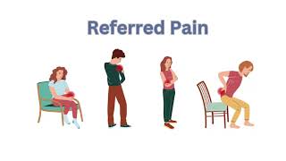 Referred Pain  Radicular Referred Pain  Somatic Referred Pain [upl. by Mendie]