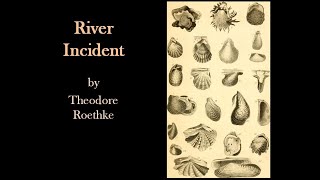 River Incident by Theodore Roethke [upl. by Ellehcil]