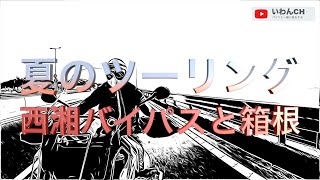 【清涼ツーリング】早朝に西湘バイパス経由で箱根まで。トライアンフのバイクで走る酷暑で楽しめるツーリングルート｜ボンネビルT100・Tiger900 [upl. by Duaner]