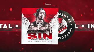 ROCHY RD  SIN COMPAÑERO  INSTRUMENTAL  NATA RECORD [upl. by Sukey183]