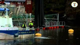 Gift rett i fjorden Se lusebehandlingen på et oppdrettsanlegg [upl. by Cavanagh]