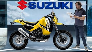 2025 NEW SUZUKI SV 650 DJEBEL INTRODUCED [upl. by Gilud]