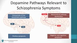 Psychopharmacology Antipsychotics amp The Dopamine Hypothesis [upl. by Birkett]