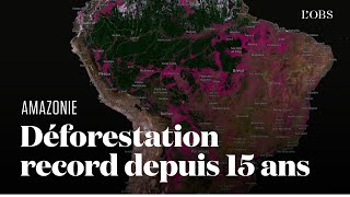 Amazonie  visualisez la déforestation à son plus haut niveau depuis 15 ans [upl. by Pooh]