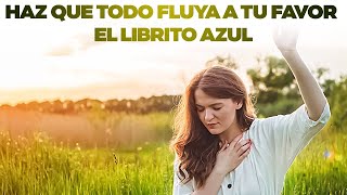 quotHaz que todo fluya a tu favorquot  EL LIBRITO AZUL  AUDIOLIBRO [upl. by Egiaf]