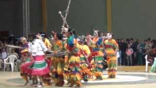 Danza Los Matachines del Tolima Sesquilé Cundinamarca 2012 [upl. by Tila]