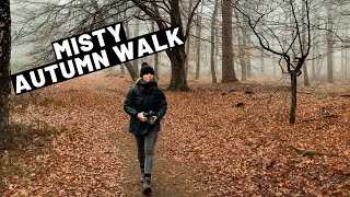 Hiking from Hoenderloo to Otterlo in Nationaal Park De Hoge Veluwe [upl. by Tamberg]