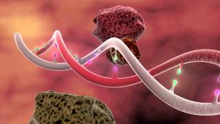 DNA Mutation 3D Animation [upl. by Heilman652]