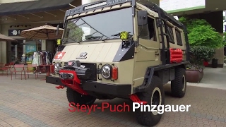 SteyrPuch Pinzgauer  Walkaround [upl. by Rosalynd872]