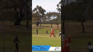 Wicket 🏏 Narre South CC V Springvale South CC app PlayCricket cricket clubcricket jeevanM [upl. by Hsotnas]