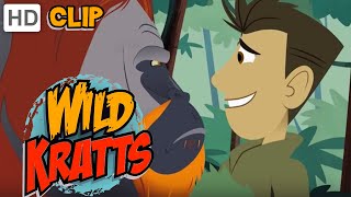 Wild Kratts  Orangutan Approved [upl. by Drofiar]