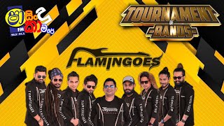 SHAA FM TOURNAMENT OF BANDS  FLEMINGOES [upl. by Doownelg403]