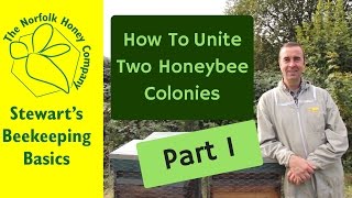 How to Unite Two Honeybee Colonies  Part One Beekeeping Basics  The Norfolk Honey Co [upl. by Perkins]