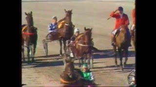 1985 Benson amp Hedges FFA  Addington Christchurch Preux Chevalier [upl. by Euf89]