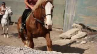 Horse Riding Las Americas tenerife [upl. by Repsihw]