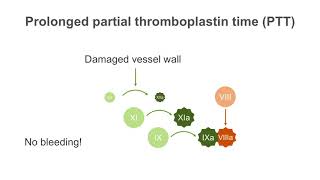 How to interpret a partial thromboplastin time PTT test [upl. by Nahrut]