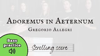 Adoremus in Aeternum  Allegri  Bass practice with score [upl. by Seka]