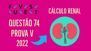 FUVEST 2022  QUESTÃO 74  PROVA V [upl. by Eilhsa749]