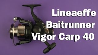 Демонстрация Lineaeffe Baitrunner Vigor Carp 40 [upl. by Anali168]