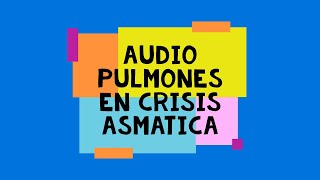 Audio Pulmones en crisis asmatica 🗣️🩺 [upl. by Ennalorac]