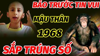 TIN VUI BẤT NGỜ CHO TUỔI MẬU THÂN SINH 1968 TRONG THÁNG 11 VÀ 12 ÂM LỊCH TRÚNG SỐ ĐẬM QUẢ NÀY GIÀU [upl. by Odlaumor]