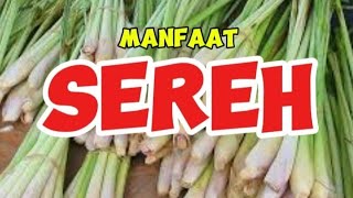 Manfaat Sereh Wangi Cymbopogon nardus untuk Kesehatan [upl. by Morry]